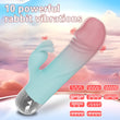 Powerful Rabbit Vibrator for Women