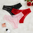 Women Lace Sexy Panties Perspective Floral Underwear